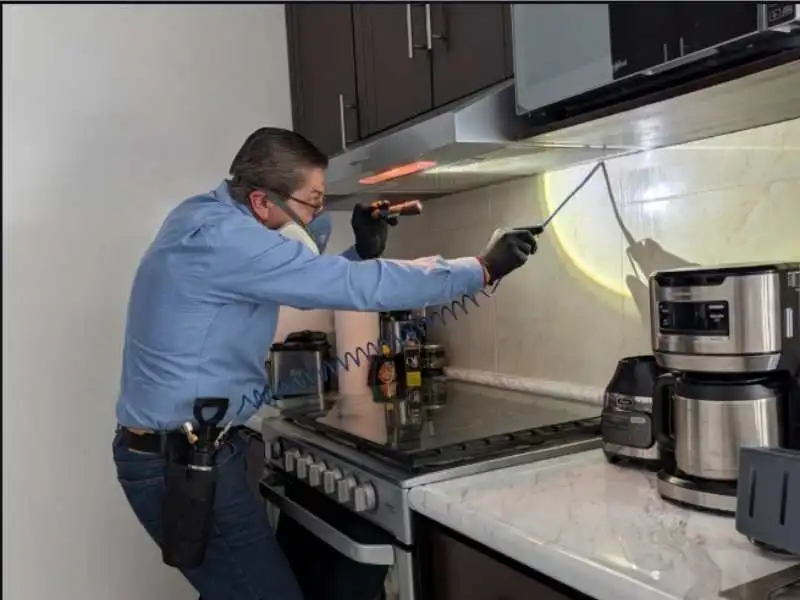 Técnico aplicando fumigación por aspersión contra cucarachas