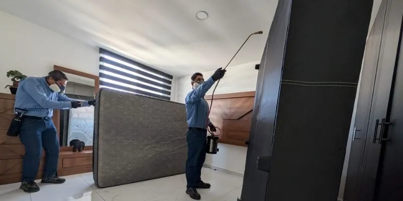 Aspersión residual contra chinches de cama